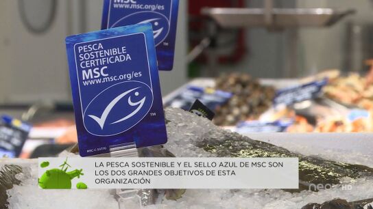 El valor de la pesca sostenible en la salud de nuestros océanos El valor de la pesca sostenible en la salud de nuestros océanos
