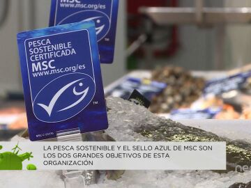  El valor de la pesca sostenible en la salud de nuestros océanos