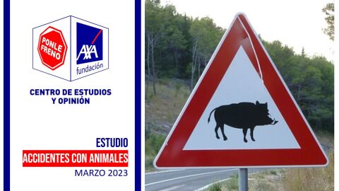 Informe accidentes con animales 2023