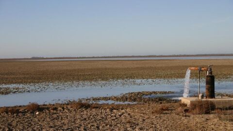 Acuífero en Doñana Acuífero en Doñana