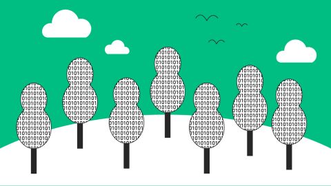 El coste ecológico de los algoritmos: ¿es lo virtual más sostenible? 