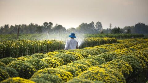 El consumo de agua vuelve a las cifras prepandemia en España: menos de 130 litros diarios por habitante El consumo de agua vuelve a las cifras prepandemia en España: menos de 130 litros diarios por habitante