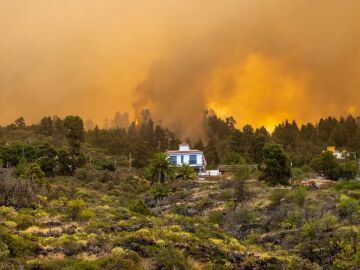 Sergio Rodríguez, con Carlos Alsina en ‘Más de uno’, sobre el incendio en La Palma: “Hay una investigación abierta y apunta a un descuido de alguien”