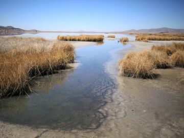 El nivel del agua del lago Titicaca está seis centímetros debajo de su mínimo histórico