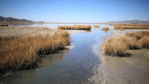El nivel del agua del lago Titicaca est&aacute; seis cent&iacute;metros debajo de su m&iacute;nimo hist&oacute;rico