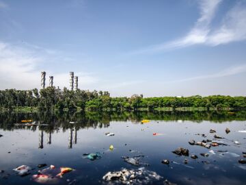 Los residuos plásticos de los ríos pueden albergar patógenos potenciales y genes de resistencia a los antimicrobianos