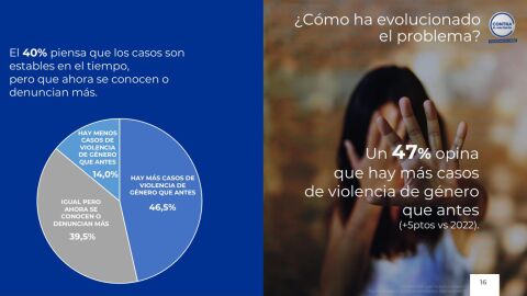IV Macroestudio de violencia de género
