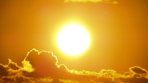 Olas de calor