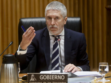 El ministro del Interior, Fernando Grande-Marlaska, este martes durante su comparecencia en el Congreso 