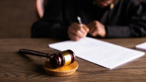 El Tribunal de Estrasburgo falla que la inacción climática va contra los derechos humanos