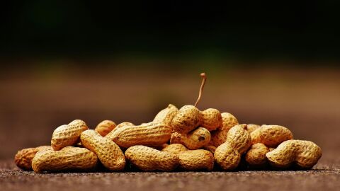 ¿Alergia al cacahuete? Esta vacuna puede interesarte ¿Alergia al cacahuete? Esta vacuna puede interesarte