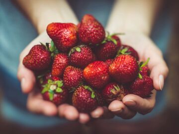 Nutrición en TikTok: un mundo de recetas virales y desinformación