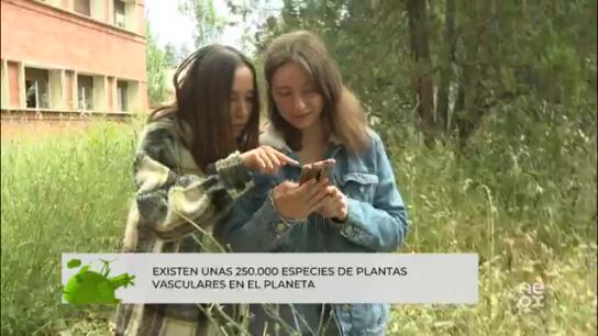 Inaturalist: la aplicación clave para identificar y proteger la flora local de España Inaturalist: la aplicación clave para identificar y proteger la flora local de España