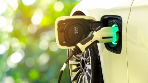 Un coche eléctrico en proceso de carga con fondo de naturaleza.