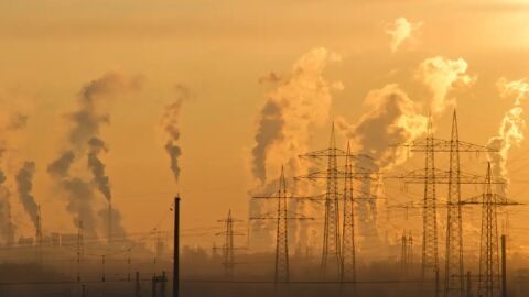  Carlos P&eacute;rez Garc&iacute;a-Pando: "La contaminaci&oacute;n no entiende de fronteras, las pol&iacute;ticas y las medidas s&iacute;"