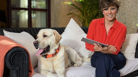 La Fundaci&oacute;n Affinity y Atresmedia renuevan su acuerdo de colaboraci&oacute;n con #Inseparables, sobre el importante papel de nuestros perros y gatos en el bienestar emocional de los m&aacute;s j&oacute;venes 