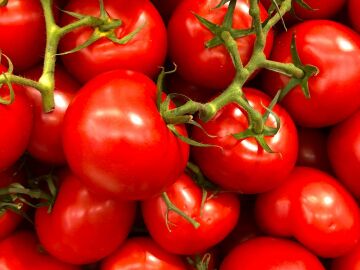 Cómo saber si tienes alergia al tomate y qué hacer en caso de tenerla