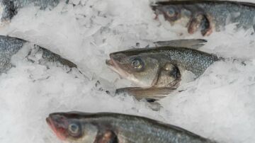 Pescado en hielo