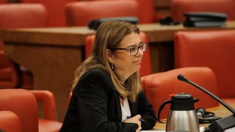 Inés Herreros, vocal del CGPJ, con Carlos Alsina en ‘Más de uno’: “No ha habido nunca una mujer en la presidencia del Poder Judicial porque han sido discriminadas” Inés Herreros, vocal del CGPJ, con Carlos Alsina en ‘Más de uno’: “No ha habido nunca una mujer en la presidencia del Poder Judicial porque han sido discriminadas”