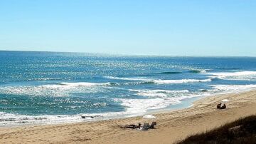 Paraíso en las playas valencianas! Playa del Saler