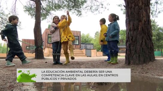 programa hazte eco 2 programa hazte eco 2