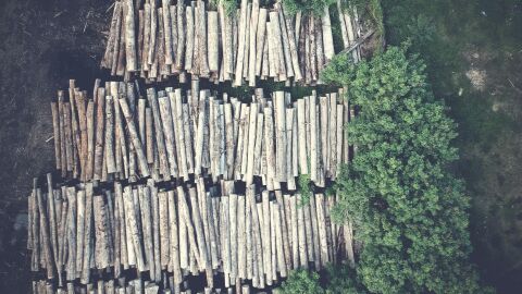 España agotará sus recursos naturales el 23 de mayo, entrando en déficit ecológico