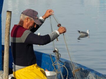 Pescadores y científicos colaboran para reducir las capturas accidentales de cetáceos
