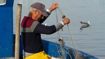 Pescadores y científicos colaboran para reducir las capturas accidentales de cetáceos