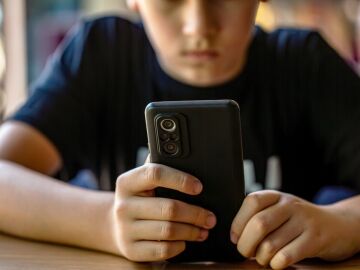 Educar antes que prohibir: ¿Están nuestros hijos preparados para usar Internet?