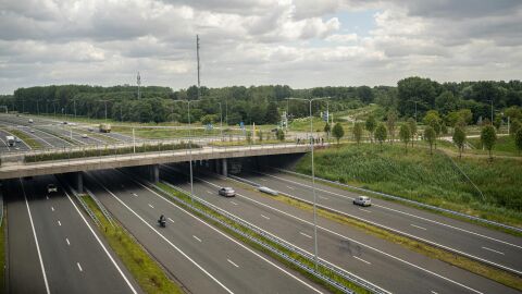 Más víctimas vulnerables en carretera pese al descenso global de fallecidos en 2025