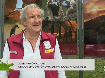 programa hazte eco 1