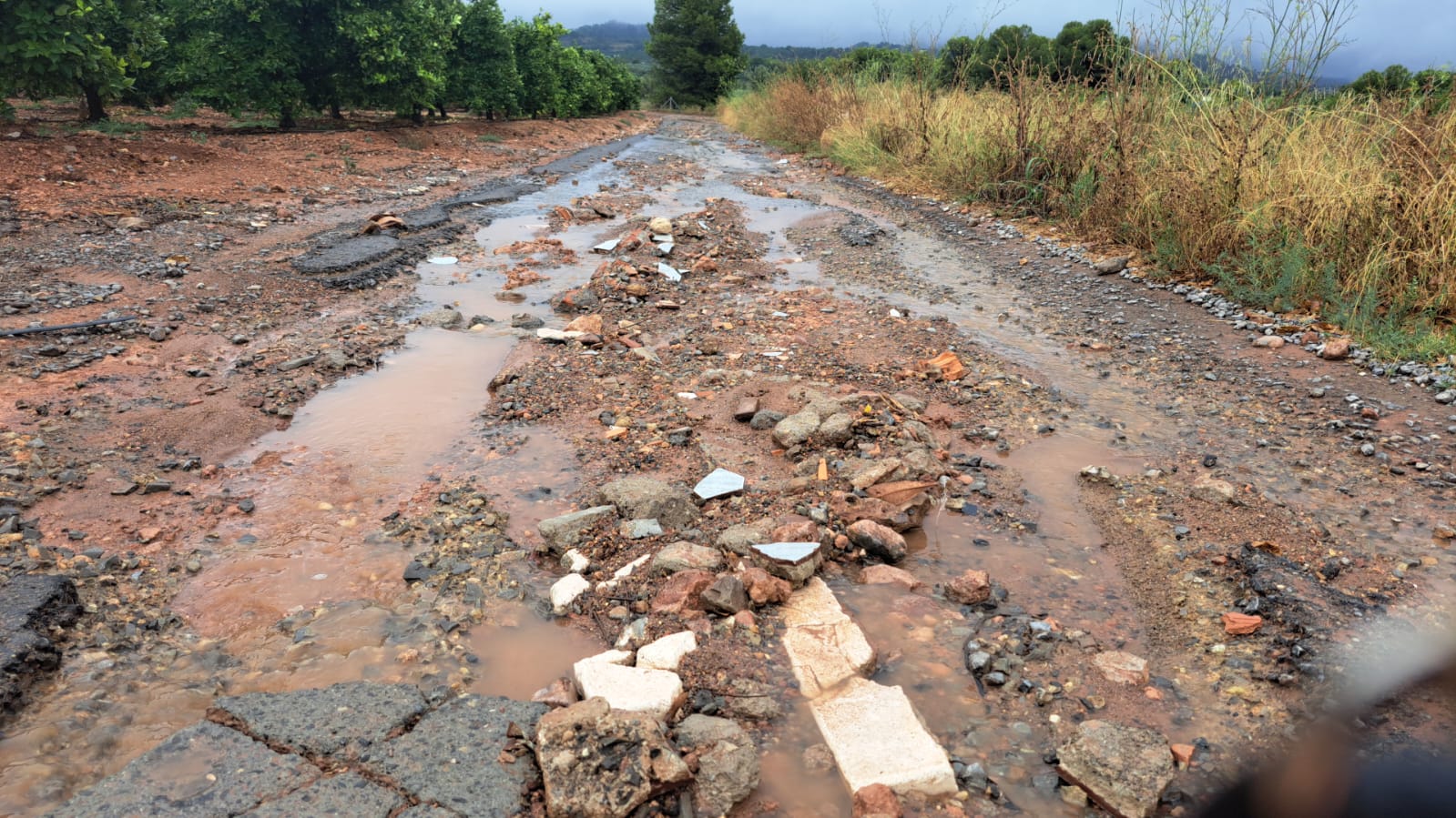 Fallo judicial modelo: no podrán cobrar la tasa vial donde los caminos sean intransitables