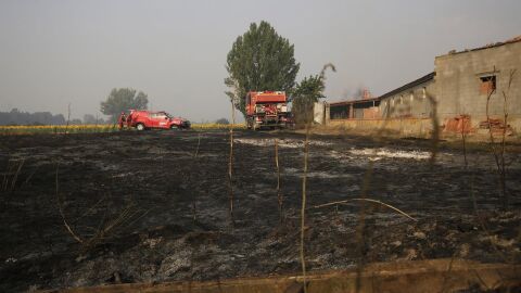 Disminuyen a 16 las carreteras afectadas por los incendios, en Zamora, Palencia, León, Cáceres y Huelva