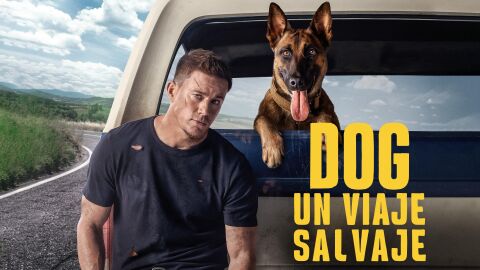 Antena 3 gana el viernes con lo más visto y reina en Prime Time con 'El Peliculón', líder y lo más visto de la noche