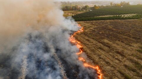 Corta fuegos para un incendio