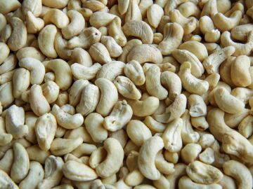 Hojas y corteza del anacardo muestran un alto potencial antioxidante contra el envejecimiento celular