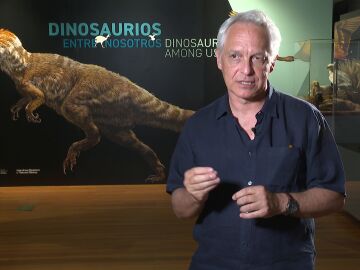 Dinosaurios  Dinosaurios