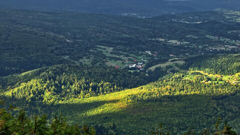 El legado pastoril de Babia que podría salvar los pueblos rurales El legado pastoril de Babia que podría salvar los pueblos rurales