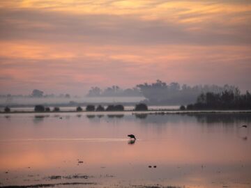 Do&ntilde;ana ya tiene 31 a&ntilde;os defendiendo su Parque Nacional como Patrimonio Mundial