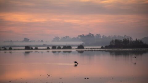 Do&ntilde;ana ya tiene 31 a&ntilde;os defendiendo su Parque Nacional como Patrimonio Mundial