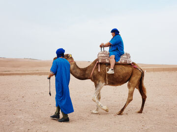 Destacados de programaci&oacute;n del mi&eacute;rcoles, 20 de enero