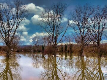 El problema real de la gesti&oacute;n forestal y las inundaciones no es por casualidad, los expertos nos lo aclaran