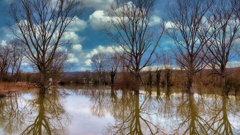 El problema real de la gesti&oacute;n forestal y las inundaciones no es por casualidad, los expertos nos lo aclaran