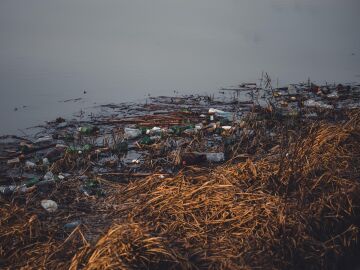 La alianza entre el campo y el mar que jubilar&aacute; al pl&aacute;stico; el CSIC presenta sus nuevos envases biodegradables