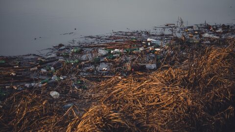 La alianza entre el campo y el mar que jubilar&aacute; al pl&aacute;stico; el CSIC presenta sus nuevos envases biodegradables