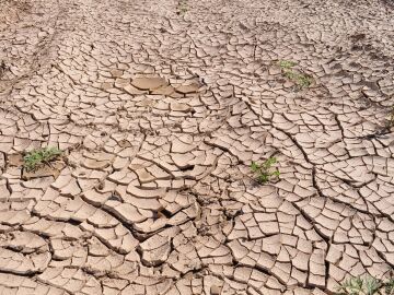 La crisis clim&aacute;tica aumenta considerablemente las horas de calor extremo que impiden la vida cotidiana en todo el mundo