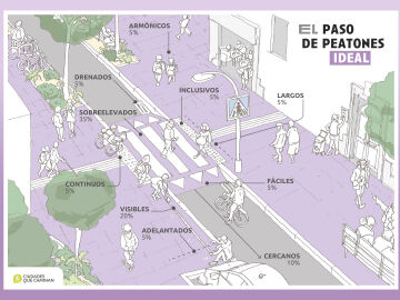 Paso de Peatones Ponle Freno