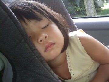 Sistemas de retenci&oacute;n infantil y cintur&oacute;n: el escudo obligatorio que reduce dr&aacute;sticamente la mortalidad infantil