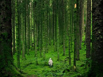 La APM organiza una jornada para conocer c&oacute;mo informar de gases renovables