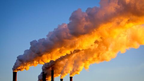 La mayor entidad de la econom&iacute;a espa&ntilde;ola; el Banco de Espa&ntilde;a, se suma al movimiento verde advirtiendo sobre la crisis medioambiental 